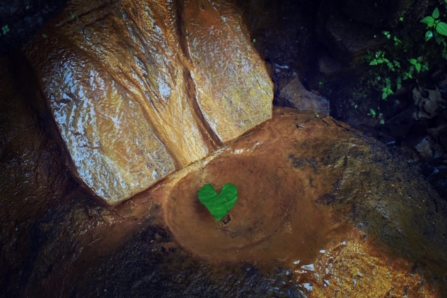 floating heart.Mabbit Springs_